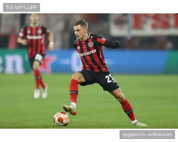 维尔茨上限是否被夸大？潜力与实际表现差距分析